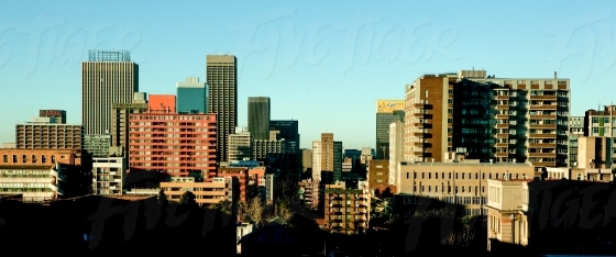 Johannesburg City Skyline in afternoon light